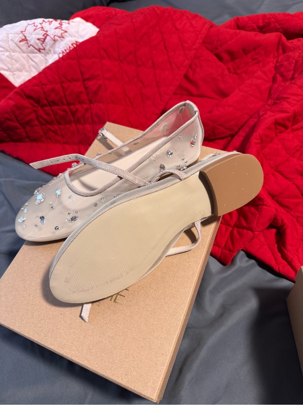 Embellished Nude Mesh Ballet Flats with Crystal Accents - Picture 5 of 7